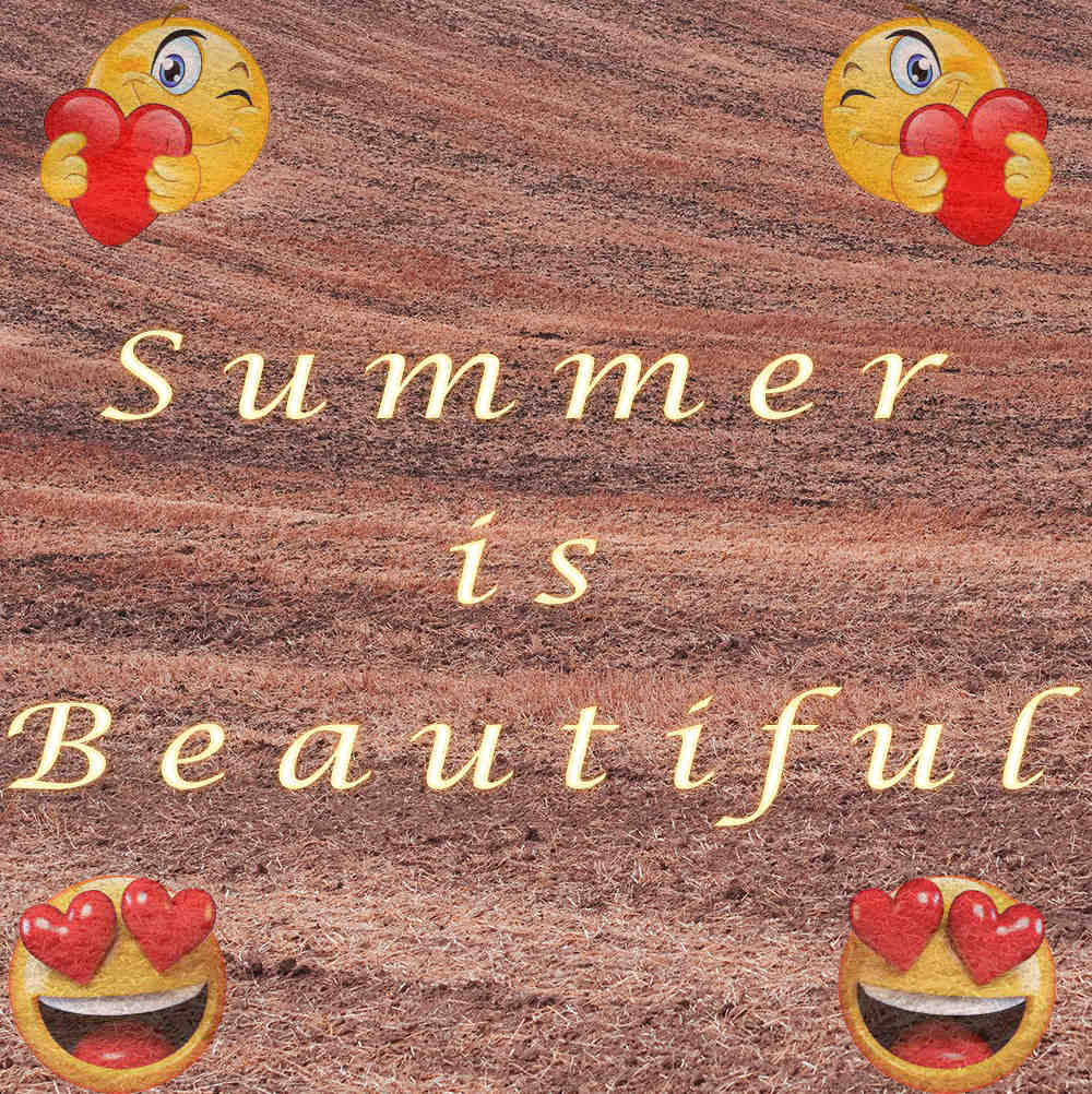 Hot summer quotes